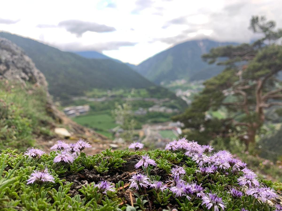 Maians - Peu Del Riu 122 - Vall D'Incles - Soldeu Esterno foto