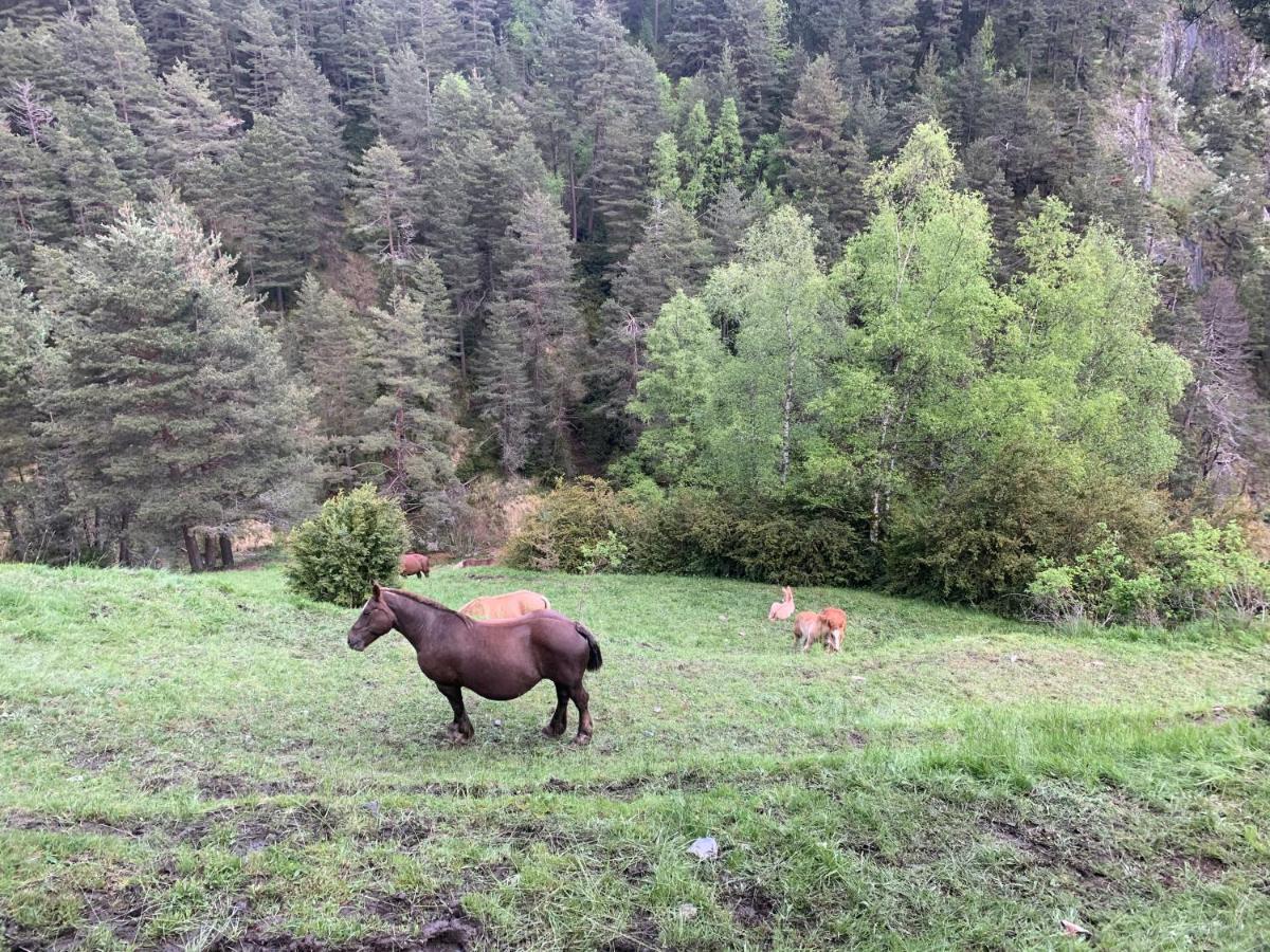 Maians - Peu Del Riu 122 - Vall D'Incles - Soldeu Esterno foto